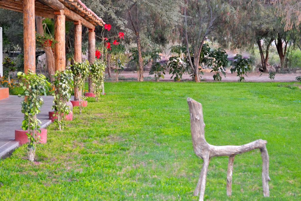 Hotel Fundo San Rafael Nazca Exterior photo